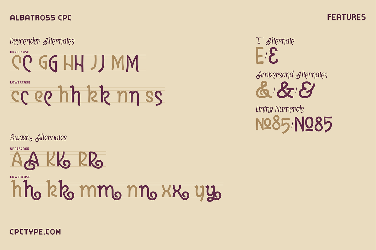 Albatross CPC, a Sans Serif Font by Christopher P. Cacho (Photo 4 of 5)