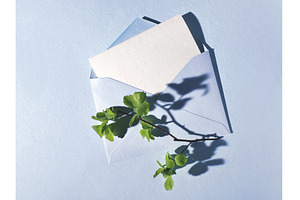 Minimalistic composition of a blue, a Photo by tilialucida