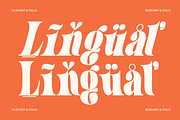 Olde Acosai – Elegant Serif Duo Font, a Serif Font by MaikoHatta (Thumbnail 4 of 8)