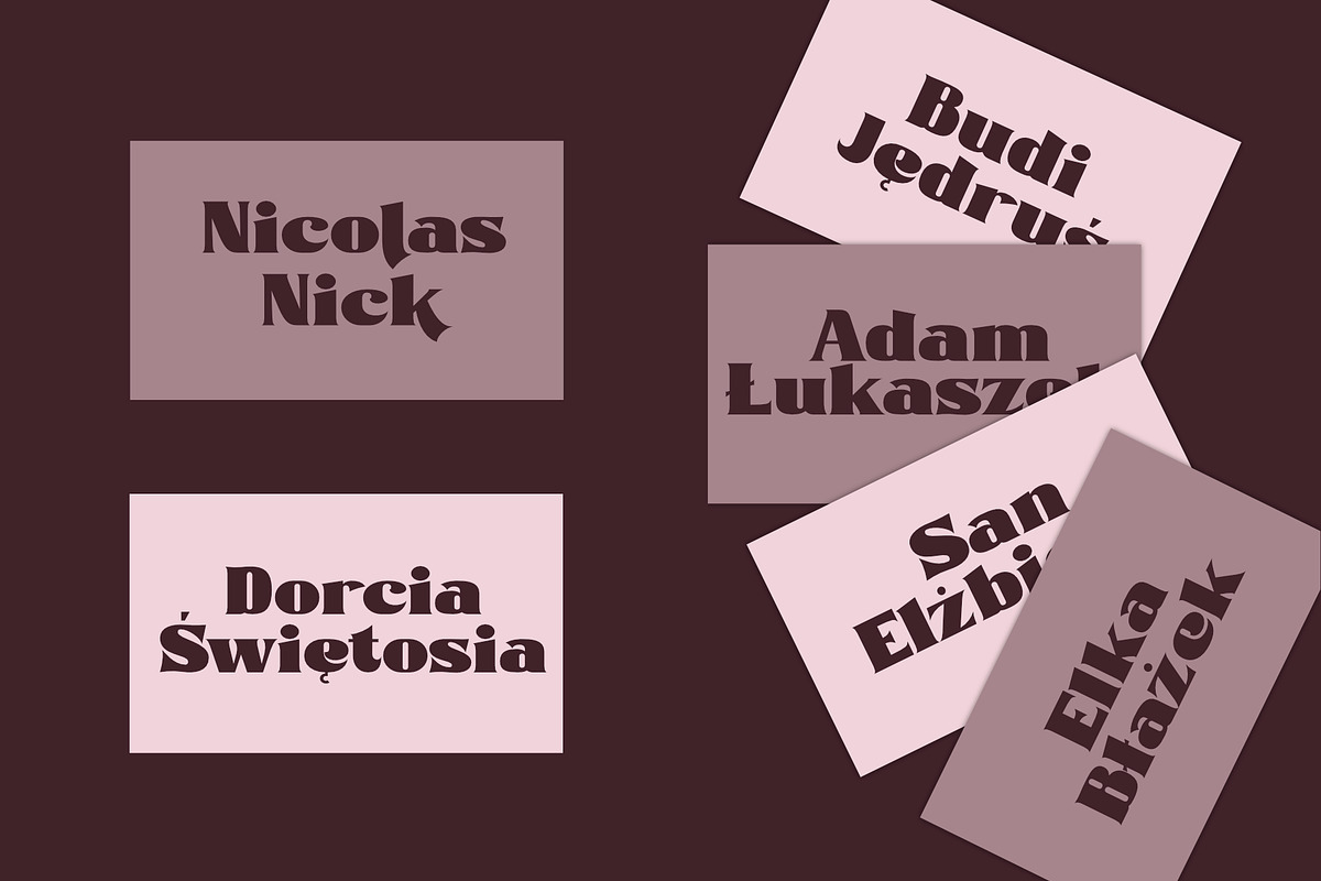 Sila - Serif Modern, a Serif Font by Khoir (Photo 6 of 10)