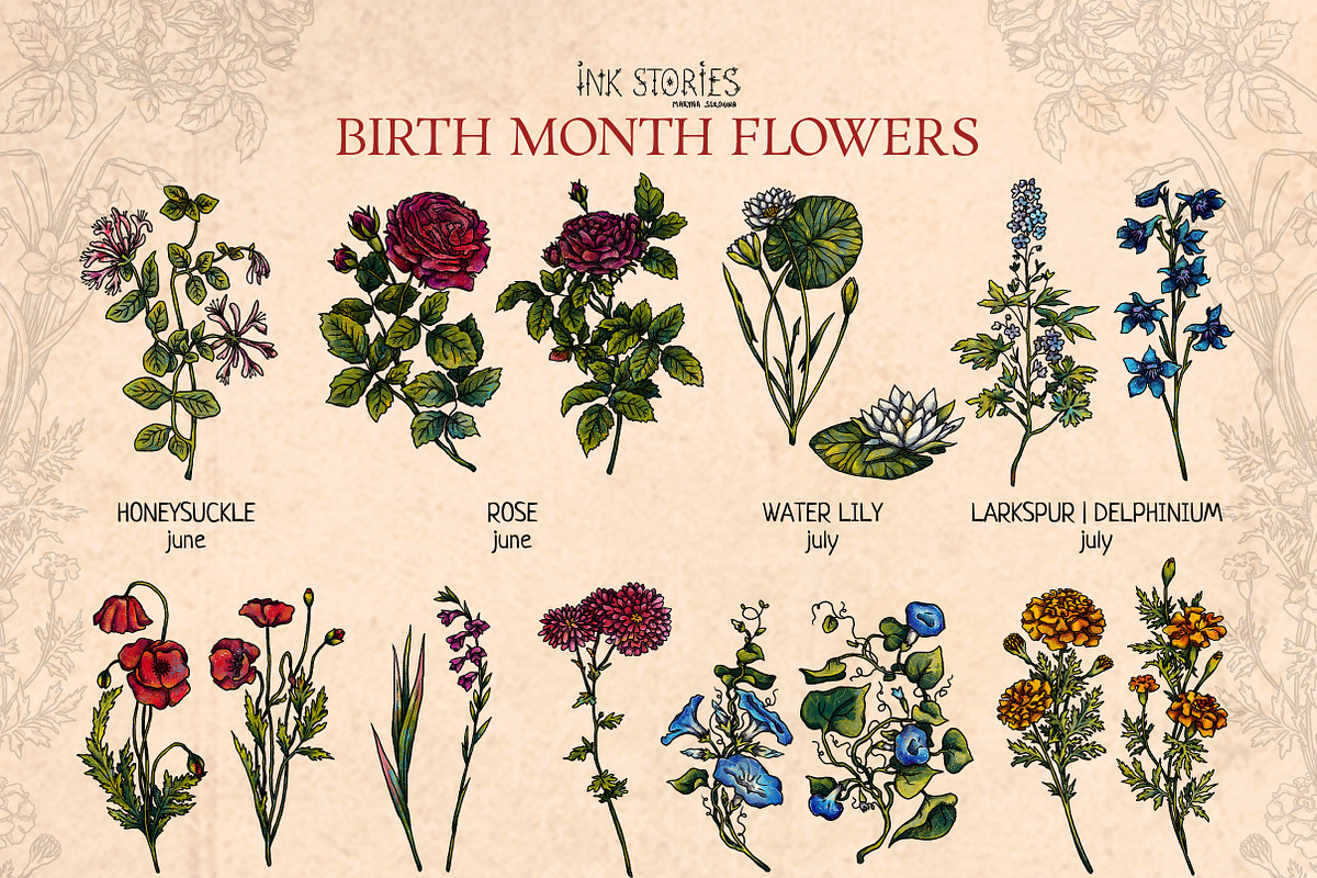 Birth Month Flowers Handcrafted, a Decorative Illustration by Ink Stories (Photo 3 of 15)