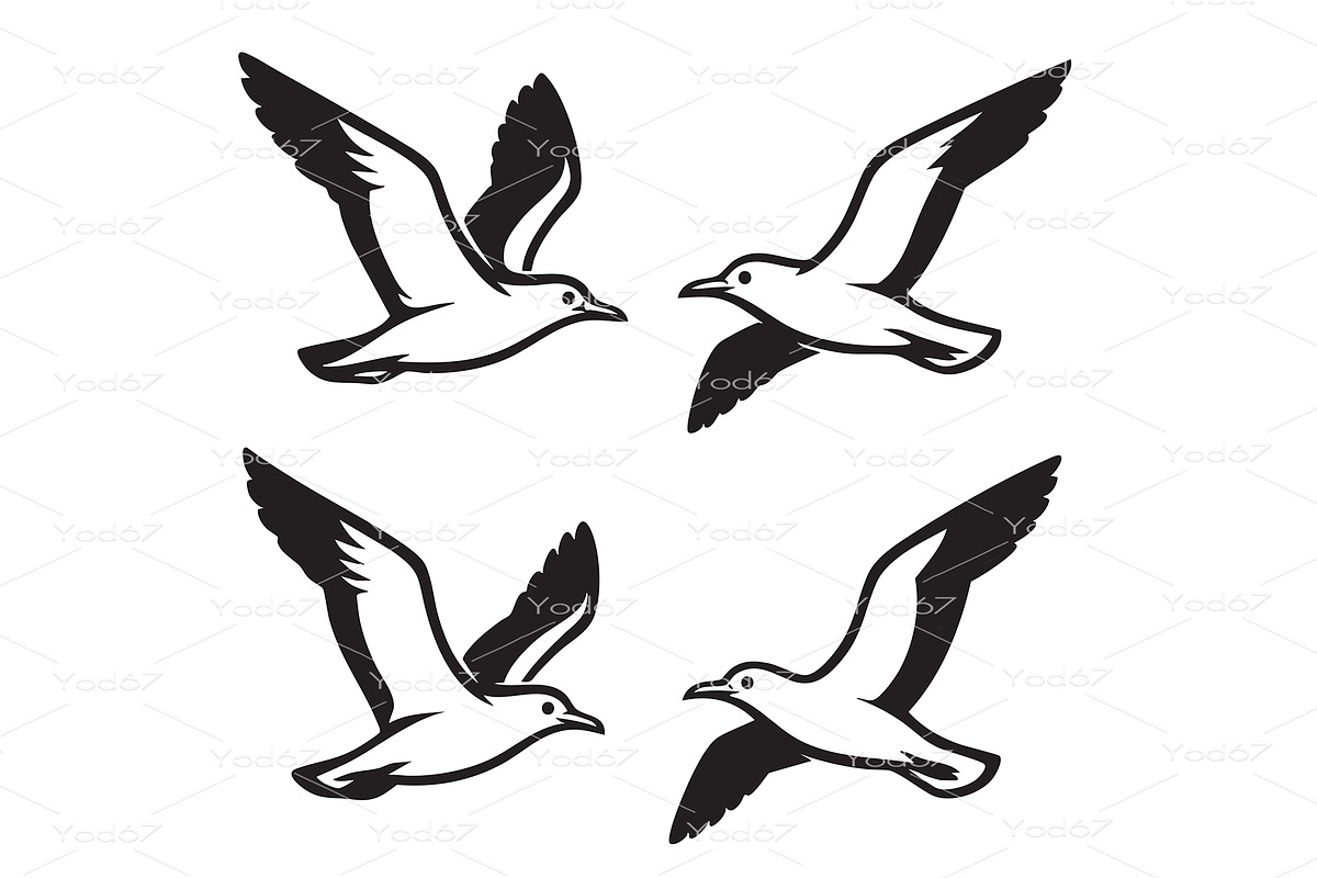Set of seagull silhouettes in flight, an Animal Illustration by yod67