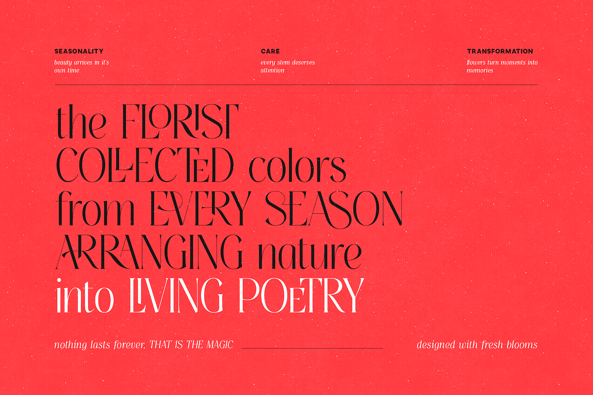 Thereon - Modern Romantic Serif Font, a Serif Font by VP Fonts (Photo 8 of 21)