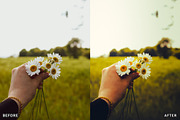 Ai Cherry Blossom Lightroom Presets, a Brushes & More by AAA Presets (Thumbnail 2 of 13)