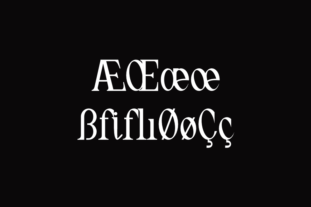 Nedogta - Modern Aesthetic Font, a Serif Font by QR Design Studio (Photo 9 of 13)