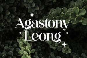 Aglycones Elegant Serif Display Font