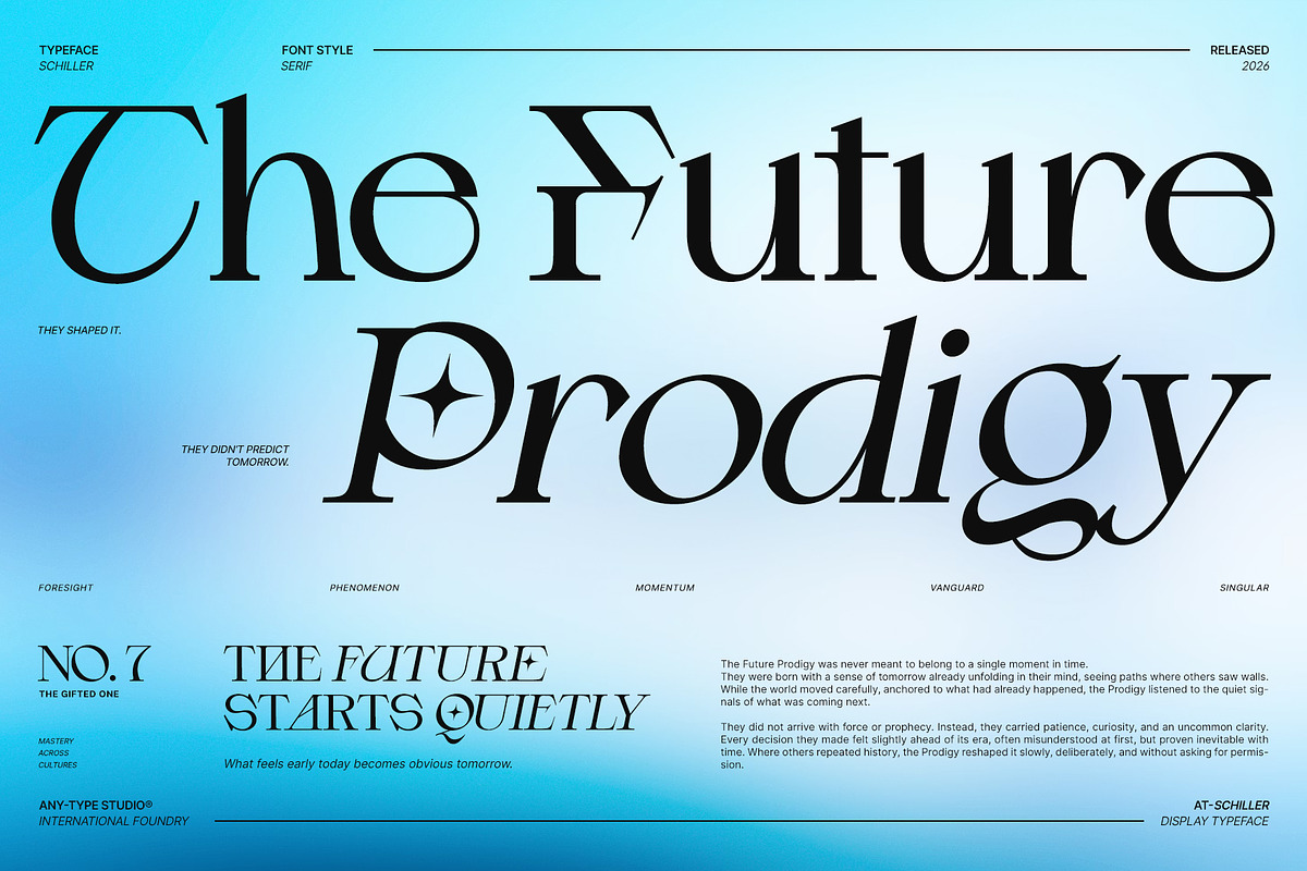 Schiller - Contemporary Serif, a Serif Font by Any-Type® Foundry (Photo 9 of 13)