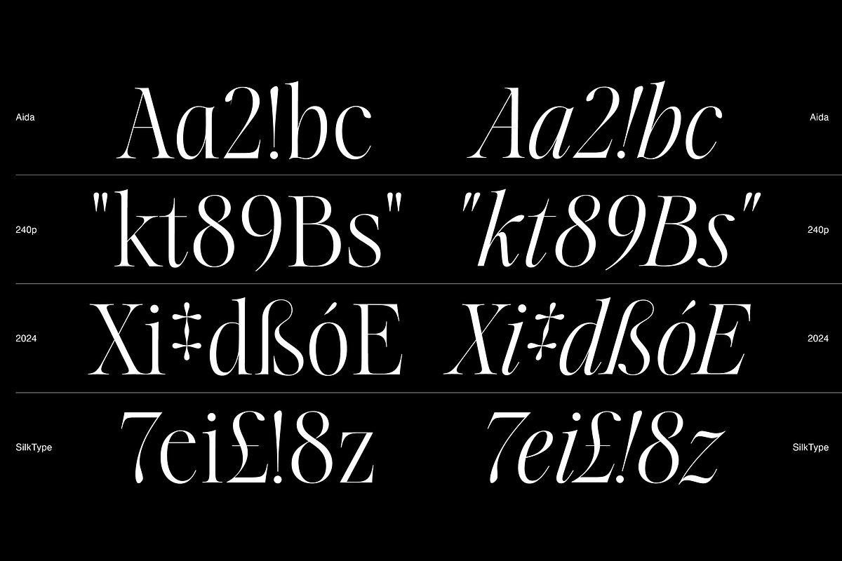 Aida | 10 Font Ligature Serif, a Font by Silktype (Photo 7 of 20)
