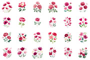 Watercolor Burgundy Florals Png, an Illustration by Sublimation Artist (Thumbnail 2 of 6)