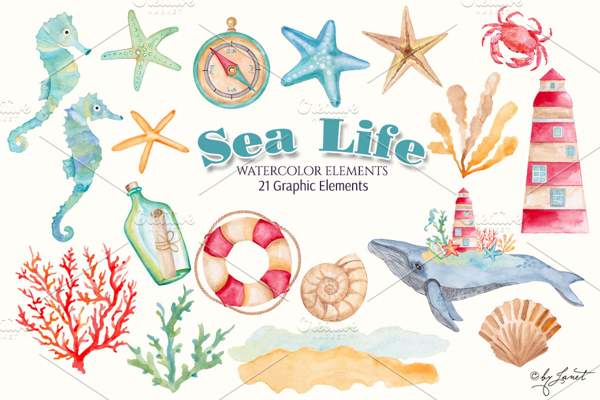 Sea Life Watercolor, an Illustration by helloPAPER (Photo 2 of 2)