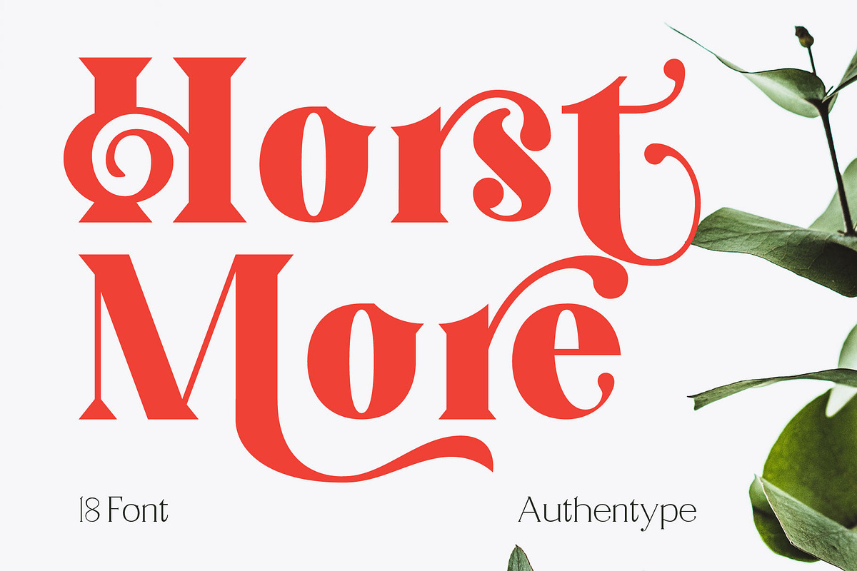 Horst More Retro Soft Serif, a Serif Font by AuthenType (Photo 1 of 10)
