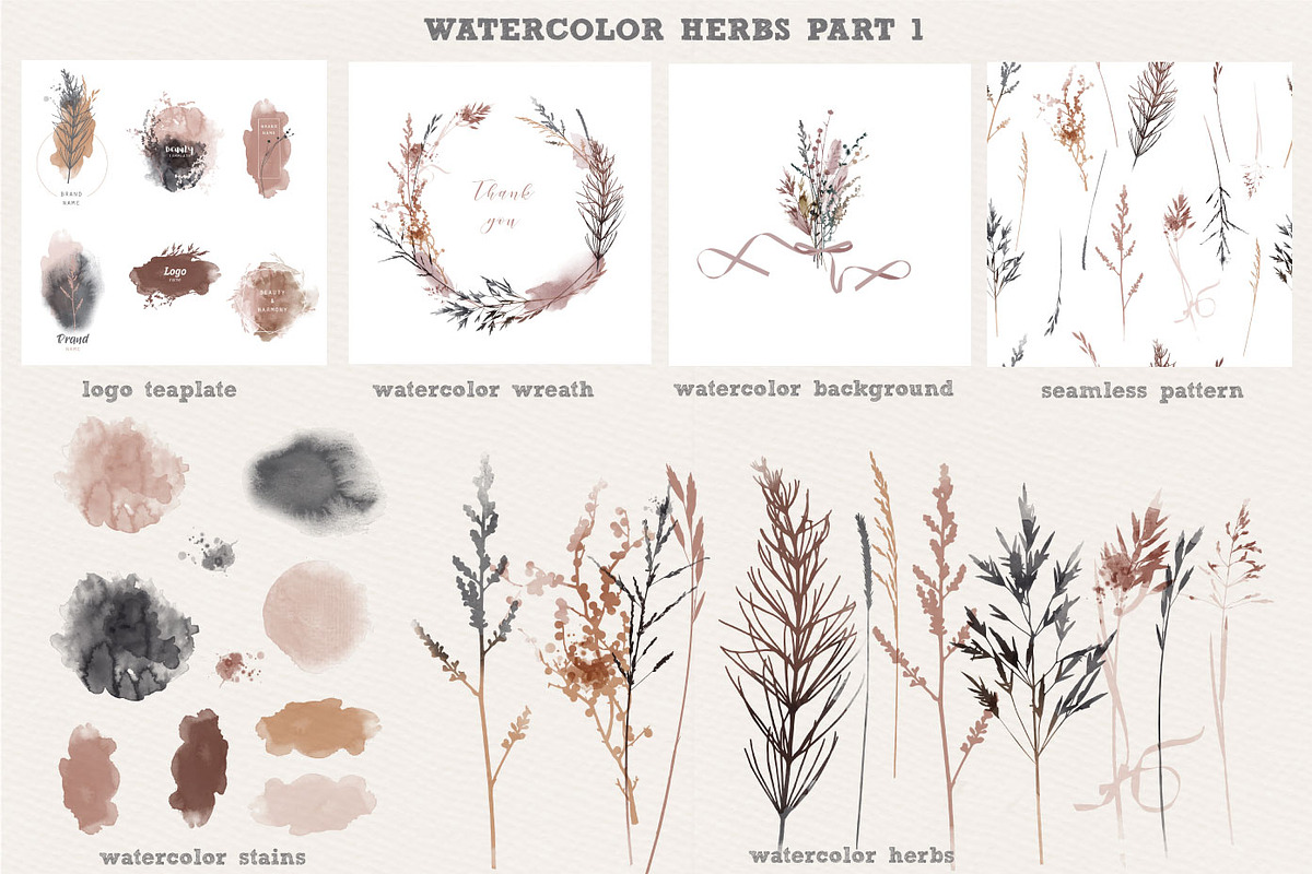 Watercolor herbs collection, a Decorative Illustration by Tatiana Davidova (Photo 2 of 8)