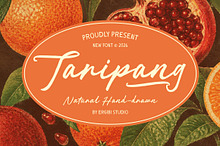 Taripang - Natural Hand-drawn