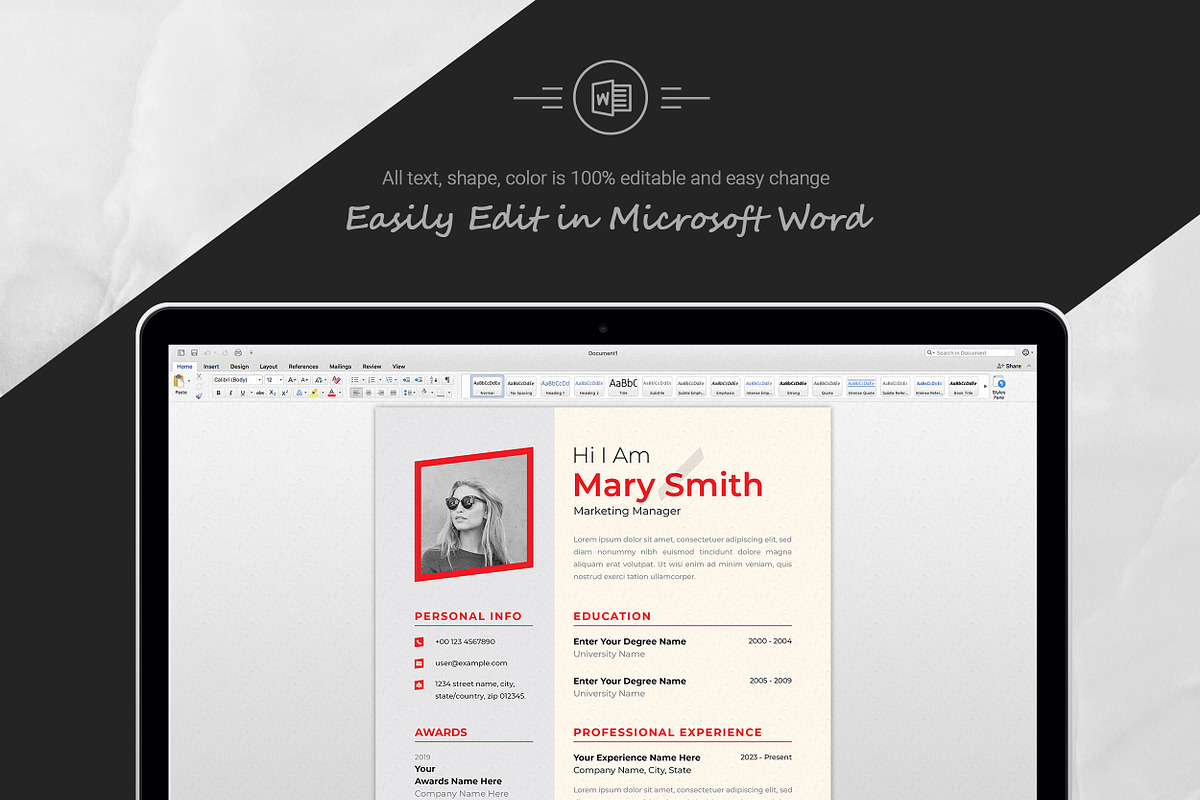 Professional CV for Job Seekers preview 5