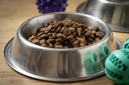 Pet food concept - dry pet food on bowl on wood background