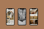Photographer | Canva Social Template, an App Template by Wild Wander Collective (Thumbnail 5 of 8)