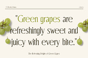 CS Bosley Drawn, a Serif Font by Craft Supply Co. (Thumbnail 3 of 8)