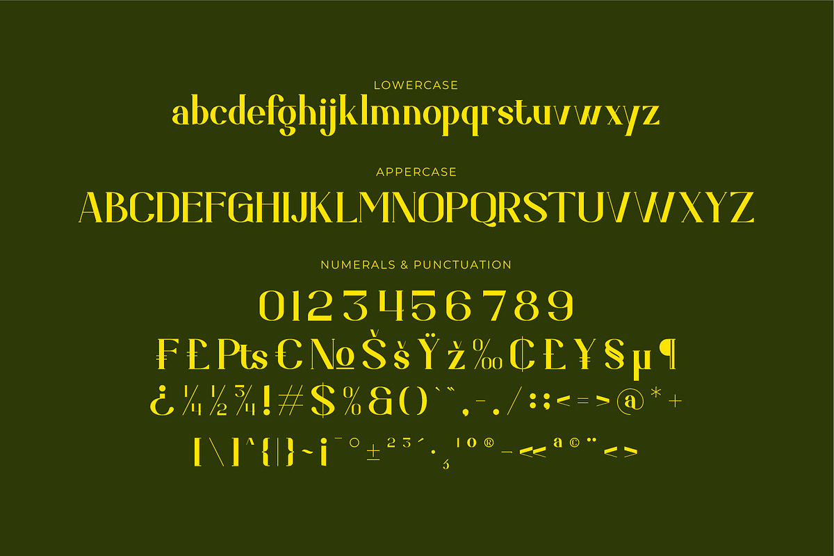 Dorvalen, a Serif Font by Rishsketch (Photo 12 of 15)