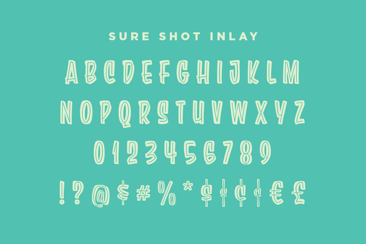 Sure Shot Casual Brush Script, a Script Font by Price Foundry (Photo 4 of 29)