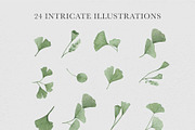 Ginkgo Botanica - Florals & Leaves, a Texture Illustration by Momo Studio (Thumbnail 10 of 12)