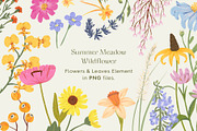 Summer Meadow Wildflower, a Decorative Illustration by Manimanisa (Thumbnail 2 of 12)