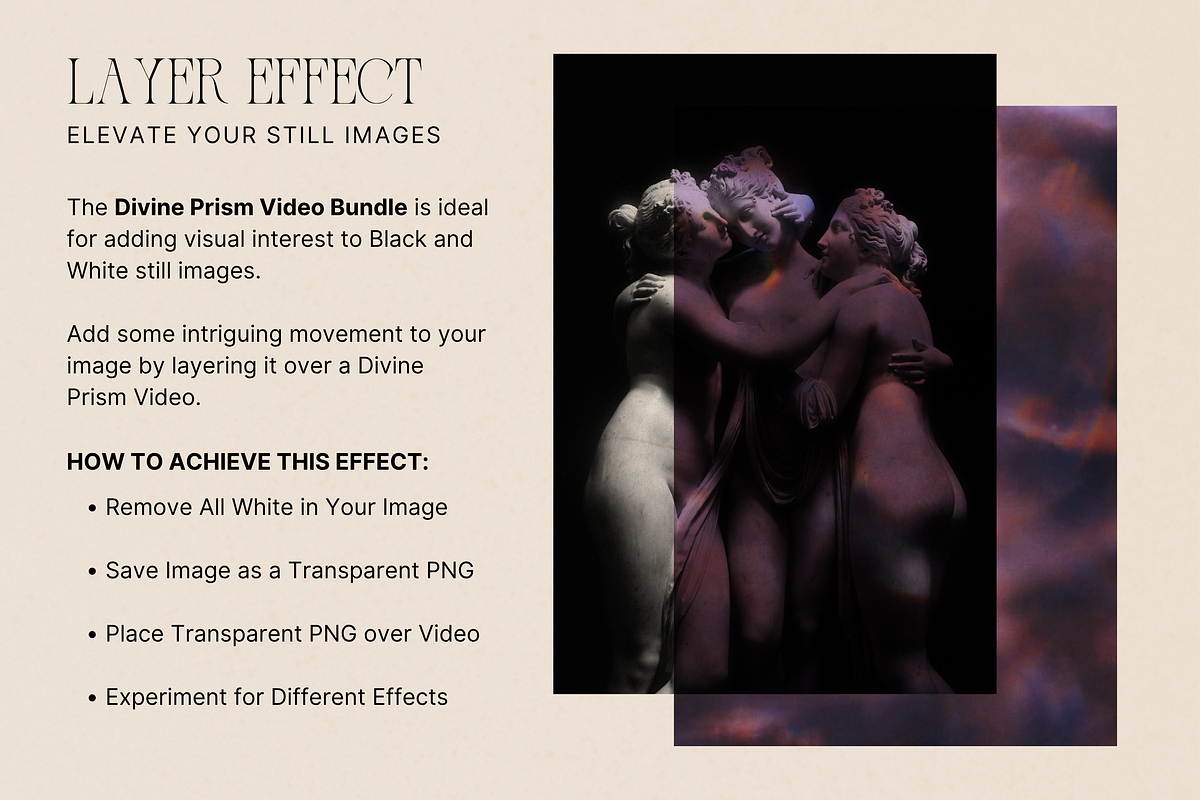 Divine Prism Video Bundle, a Social Media Template by The Flossy Finch (Photo 15 of 21)