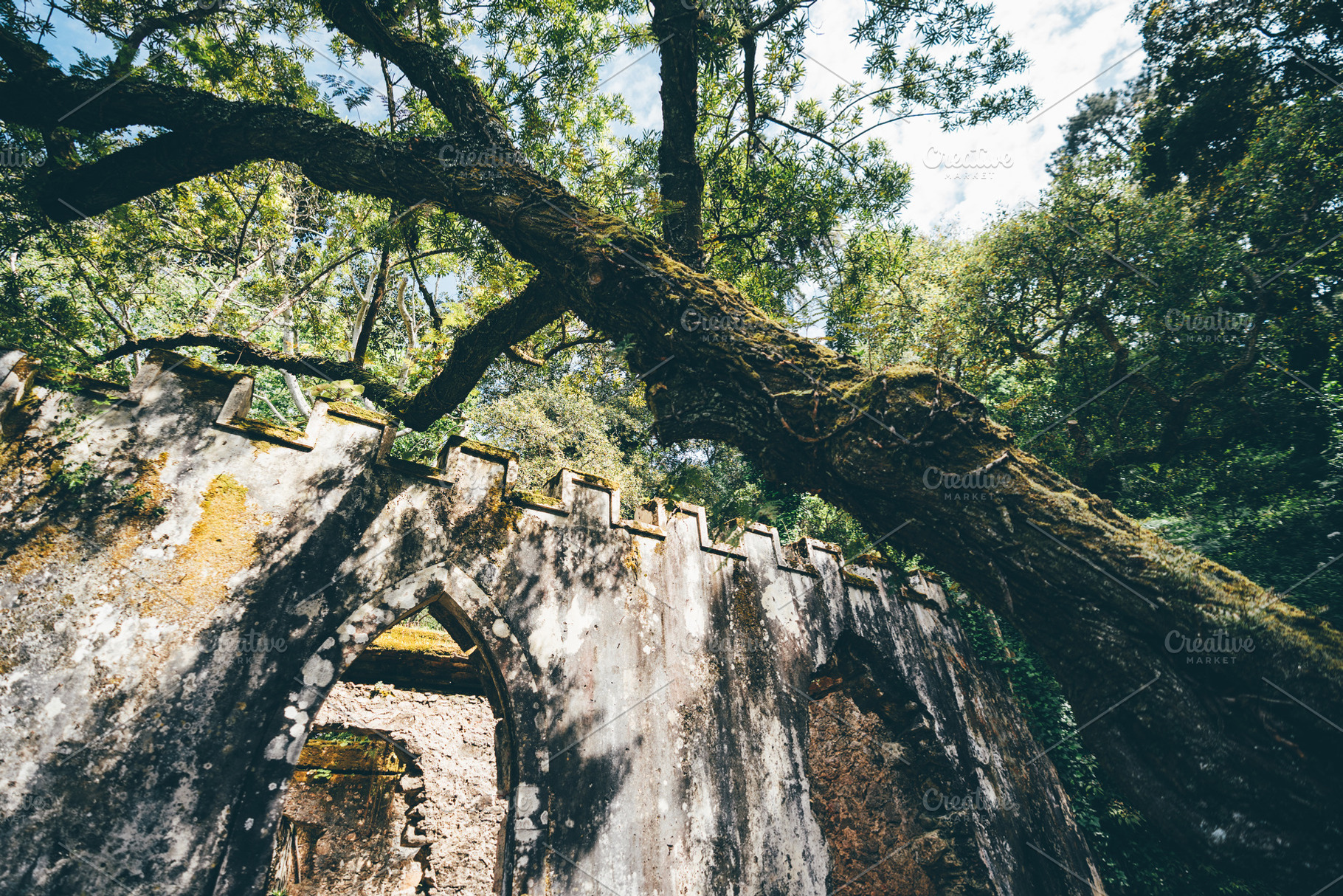 Mossy ruin under forest canopy, an Architecture Photo by SkyNext