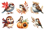 Autumn Sparrows Bird Clipart, an Illustration by Daily.Designs (Thumbnail 3 of 5)