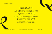 Erakov - Retro Modern Serif Display, a Serif Font by Namara Creative Studio (Thumbnail 8 of 9)