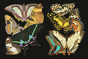 E.A. Séguy HQ Clipart Bundle, an Animal Illustration by Digital Museum (Thumbnail 4 of 10)