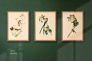 BUNDLE: 200 Vintage Art Prints, a Decorative Illustration by The Object Atlas (Thumbnail 16 of 22)