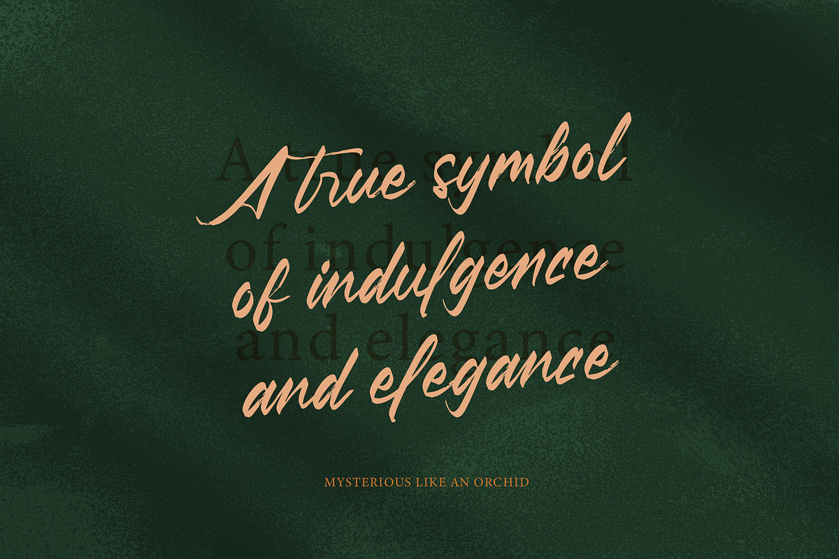 Pluretta Vintage Modern Brush Font, a Serif Font by Letterena Studios Script (Photo 9 of 20)