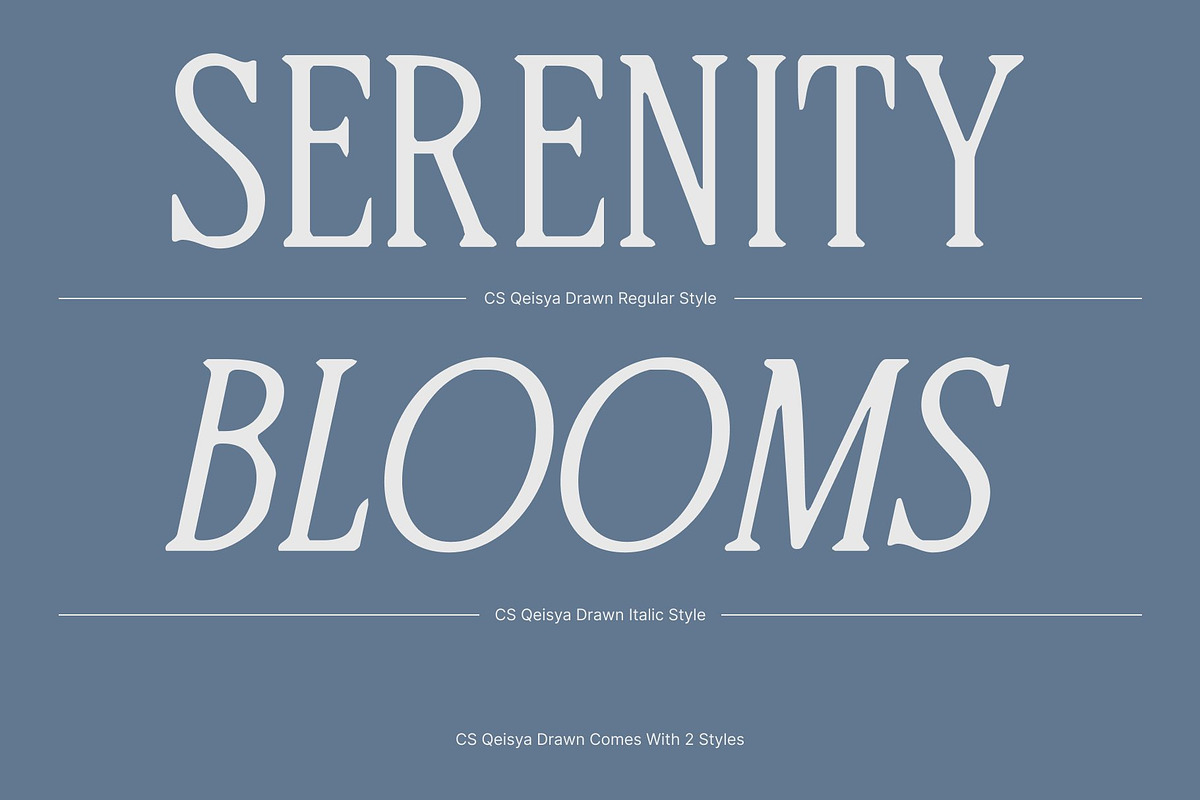 CS Qeisya Drawn, a Serif Font by Craft Supply Co. (Photo 3 of 8)