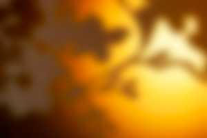 Foliage Blur Abstract Background, a Background Photo by THP Creative