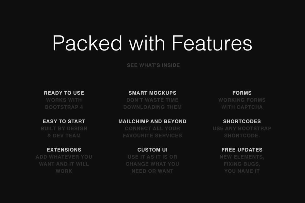 Dundas Theme, a Bootstrap Template by Dorkoy Themes (Photo 4 of 4)