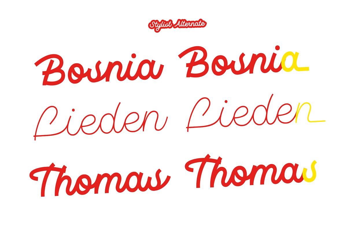 Monotail Script | Monoline Font, a Handwritten Font by Jolicia Type (Photo 6 of 13)
