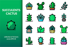 Succulents and Cactuses