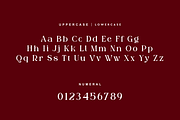 Luxoteg - Luxury Perfume Font, a Serif Font by QR Design Studio (Thumbnail 8 of 15)