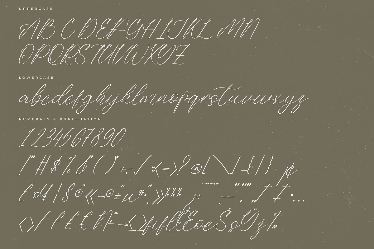 Antonila Bastian Modern Freestyle, a Script Font by Letterena Studios ...