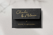 Riverside Lovers - Elegant Font Duo, a Serif Font by SilverStag Type Foundry (Thumbnail 4 of 20)