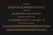 Baxley Modern Slab Serif, a Slab Serif Font by Heinzel Std (Thumbnail 9 of 10)