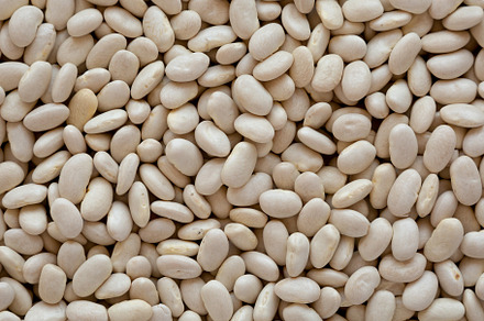 Raw Organic Dry White Beans Background, a Food & Drink Photo by LiudmylaChuhunova