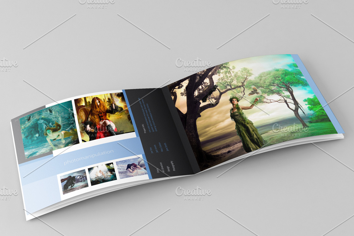 Portfolio Template for Indesign, a Templates & Theme by Spyros Thalassinos (Photo 3 of 5)