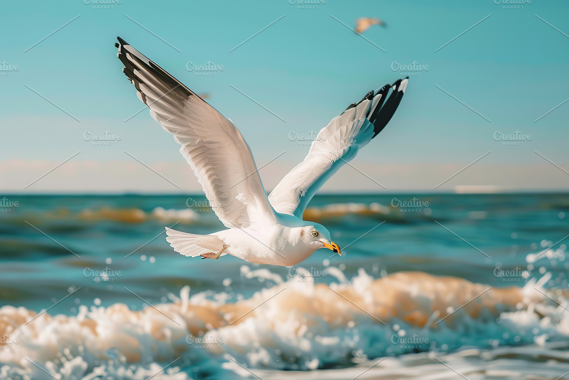 White seagull are flying above the beach, an Animal Photo by AlyaAnd