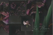 La Fleur — Vintage Spring Florals, a Wallpaper Graphic by nadispasibenko (Thumbnail 10 of 12)