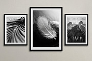30 Black and White Nature Wall Art, a Nature Photo by Image for Sale (Thumbnail 3 of 3)