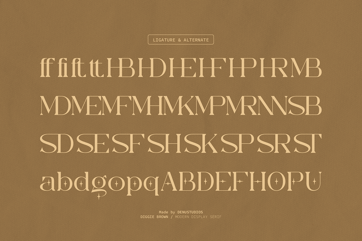 Diggie Brown | Modern Display Serif, a Serif Font by Denustudios (Photo 11 of 12)