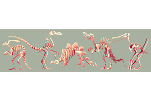Prehistoric dinosaur fossil skeleton, an Illustration by art PVP - market