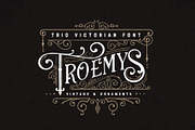 Troemys Font Trio and extras, a Font by BlackCatsMedia (Thumbnail 1 of 14)