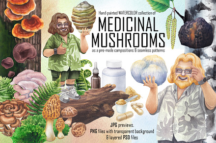 Watercolor Medicinal Mushrooms